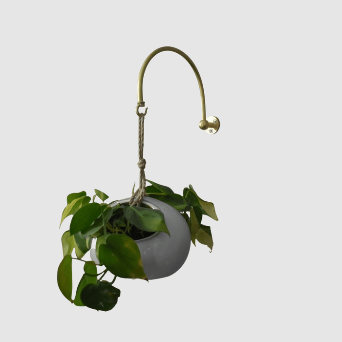 hanger for planter Arch Plant Hanger– Pepe & Carols